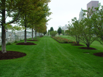 Looking South near Pavillion entrance