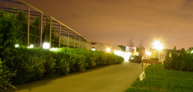 Looking South on the Western Side of the Lurie Garden